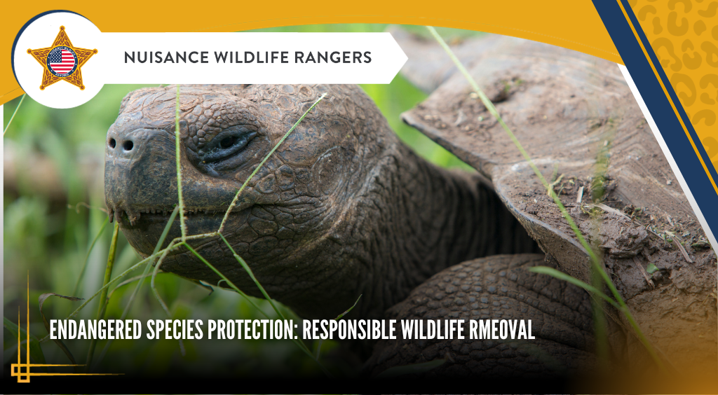 Endangered Species Protection: Responsible Wildlife Removal