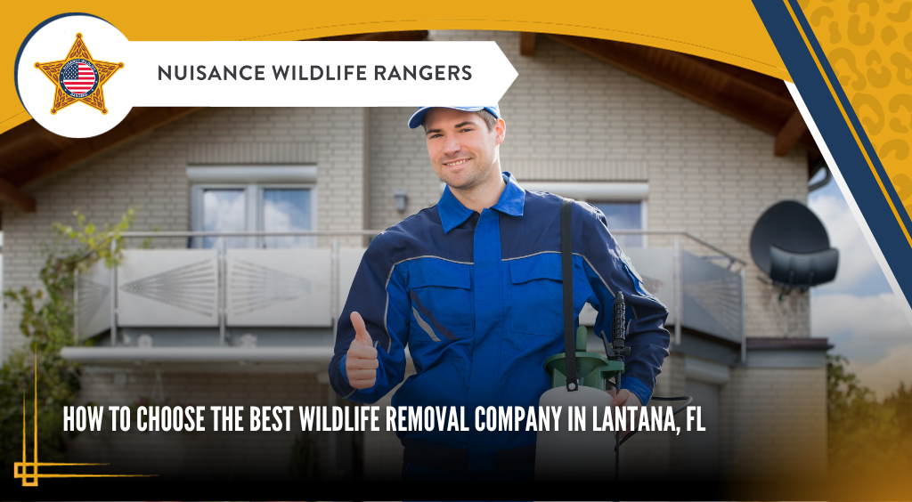 best wildlife removal company in Lantana