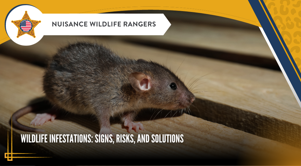 Wildlife Infestations: Signs, Risks, and Solutions
