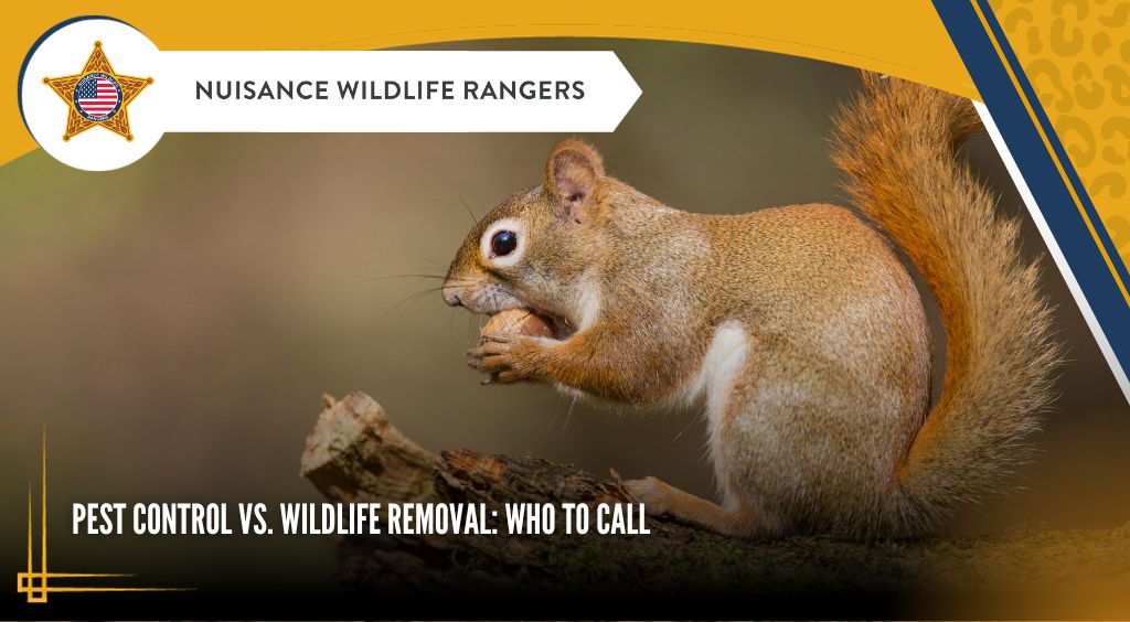 Pest Control vs. Wildlife Removal: Who to Call