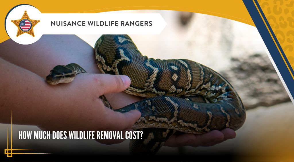 How Much Does Wildlife Removal Cost?
