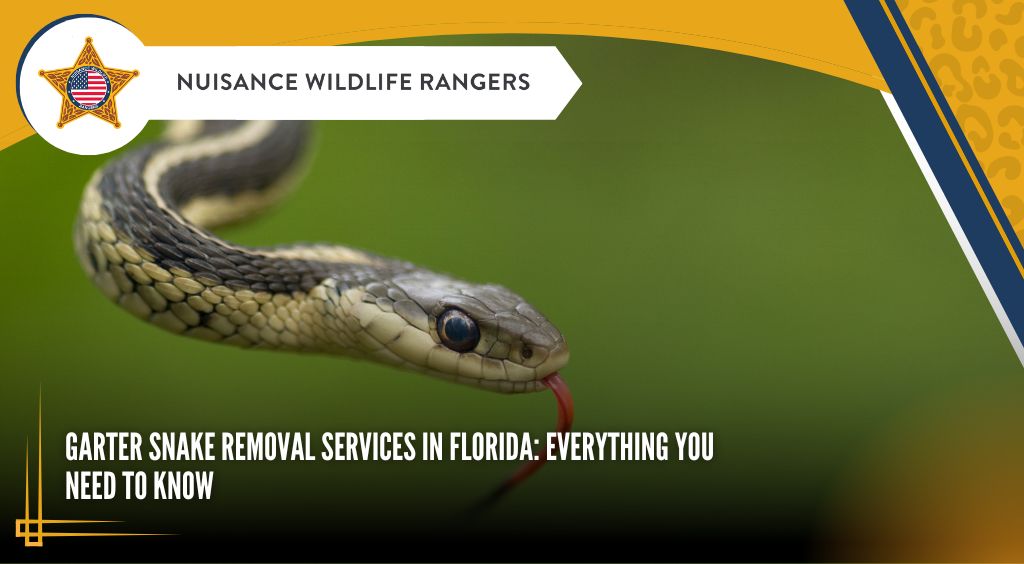 Garter Snake Removal Services in Florida: Everything You Need to Know