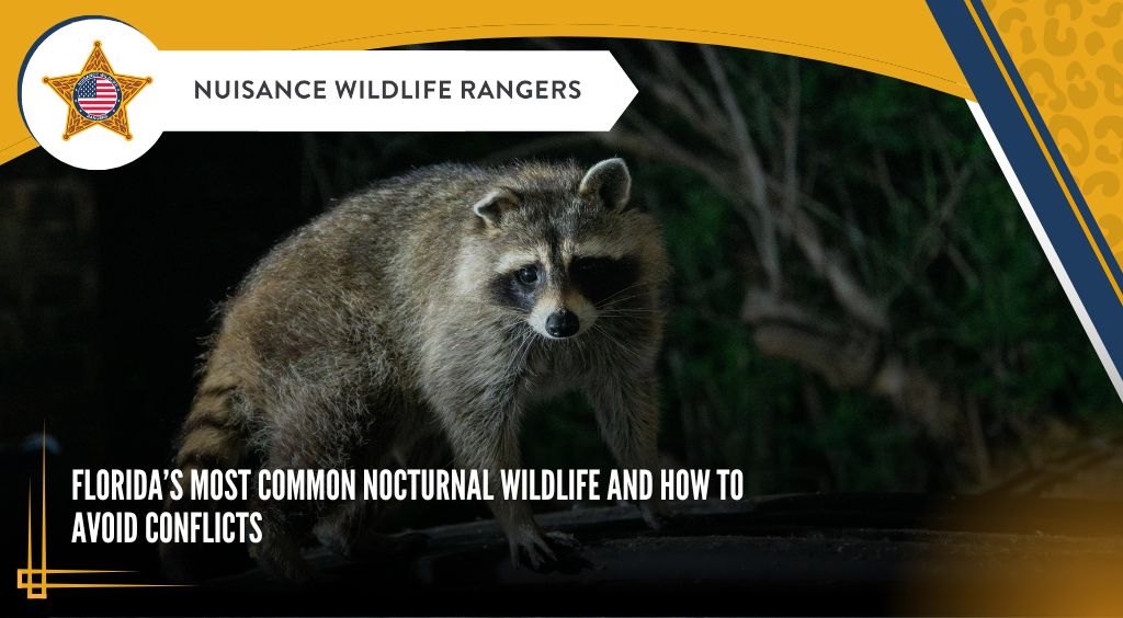 Florida’s Most Common Nocturnal Wildlife and How to Avoid Conflicts