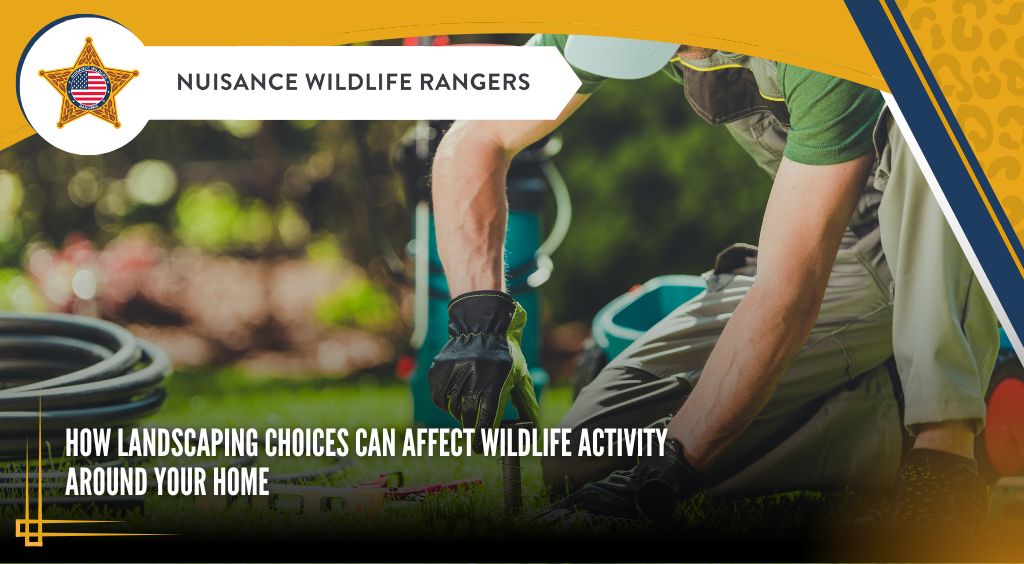 How Landscaping Choices Can Affect Wildlife Activity Around Your Home