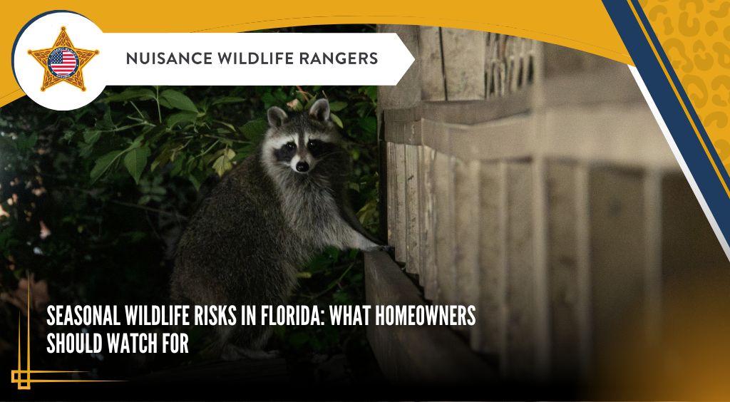 Seasonal Wildlife Risks in Florida: What Homeowners Should Watch For
