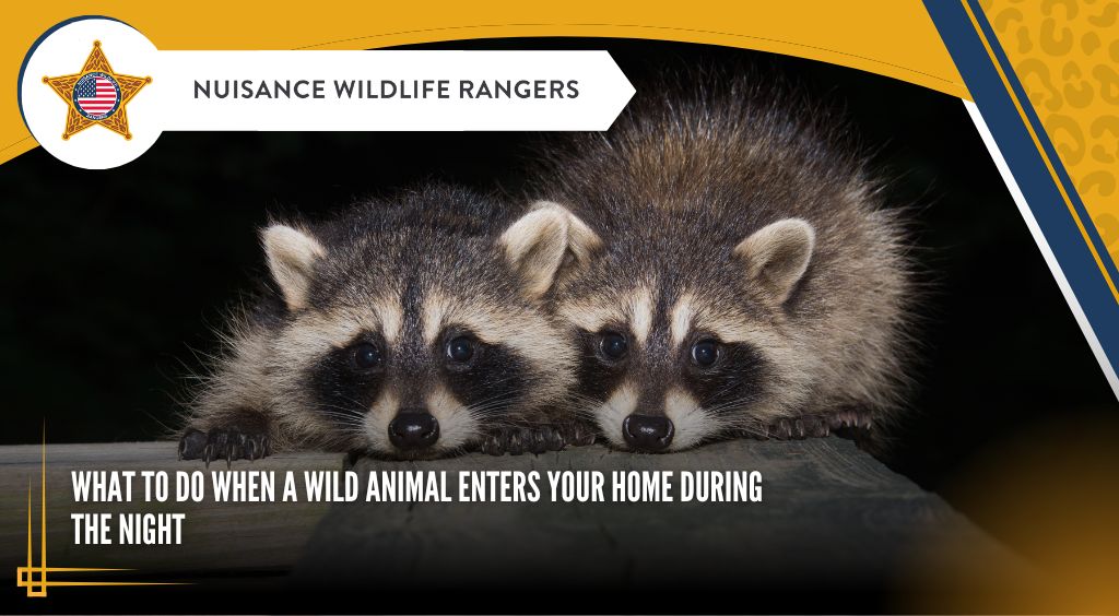 What to Do When a Wild Animal Enters Your Home During the Night