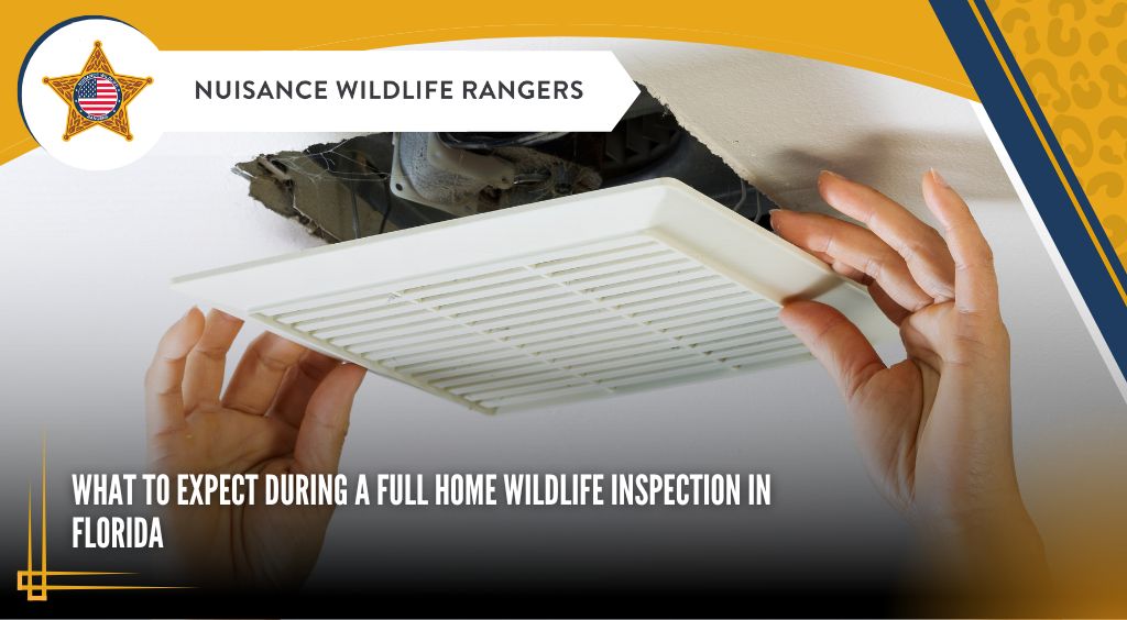 What to Expect During a Full Home Wildlife Inspection in Florida