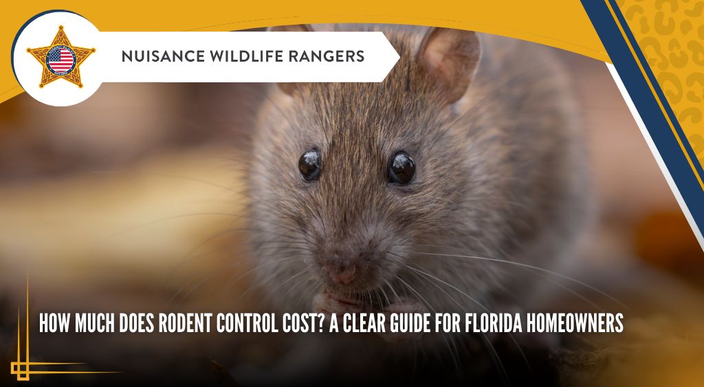 How Much Does Rodent Control Cost? A Clear Guide for Florida Homeowners