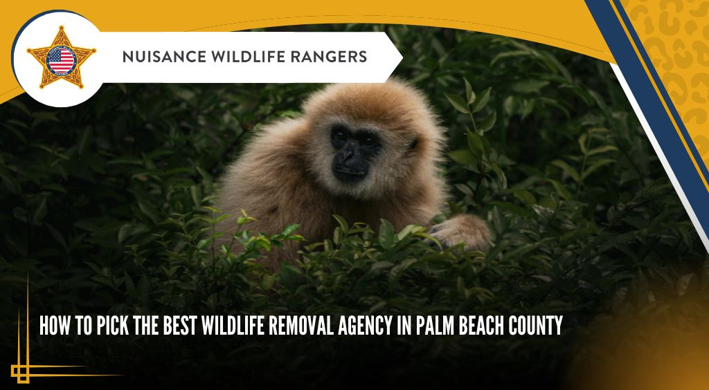 best wildlife removal agency